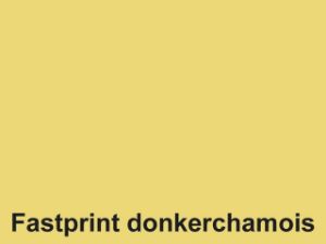 Afbeeldingen van Fastprint kopieerpapier a4 500vel 80gram donkerchamois, 120405 