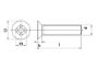 Afbeeldingen van Kelfort Assortimentsdoosje metaalschroef verzinkt 20 - 50 mm