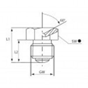 Afbeeldingen van Umeta Centraal smeernippel D1 type L DIN 3405 1/8" gas